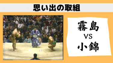 思い出の取組-武蔵丸の腕の返しと貴乃花の右四つ-│横綱物語