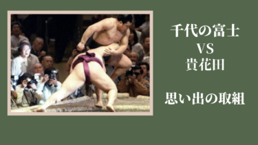 思い出の取組-武蔵丸の腕の返しと貴乃花の右四つ-│横綱物語