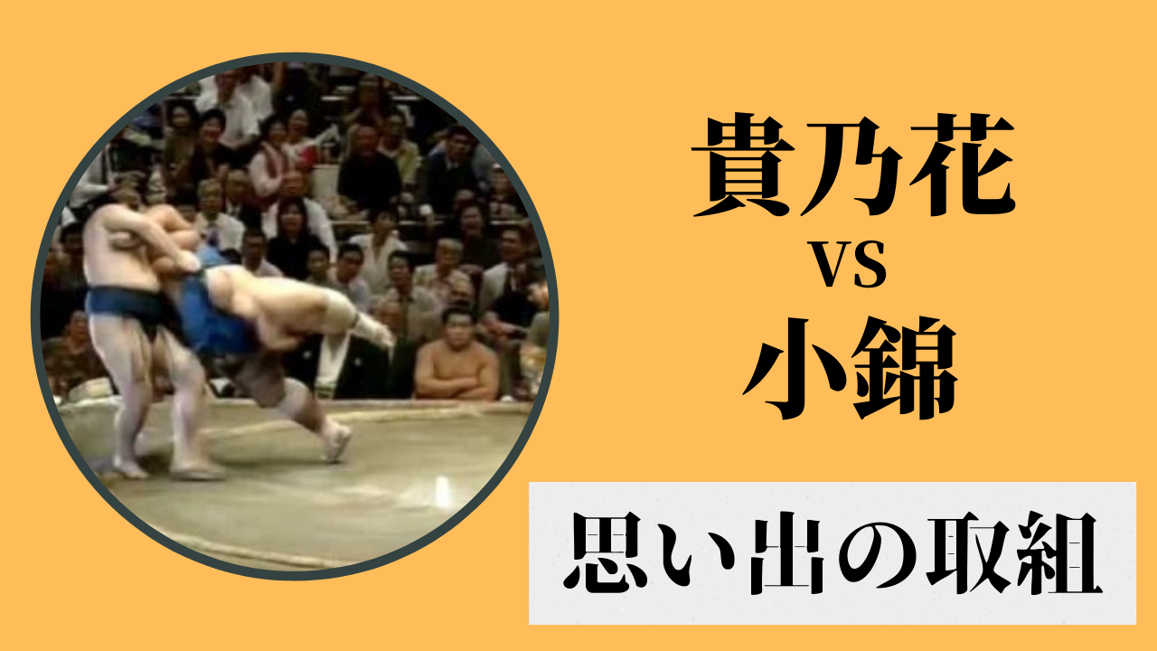 思い出の取組ベスト3-横綱相撲貴乃花VS大関のプライド小錦-│横綱物語