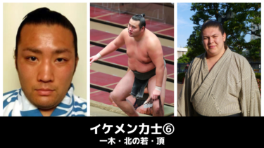 イケメン力士 幕下以下のイケメン力士 一木 頂 北の若 横綱物語
