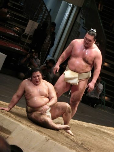 イケメン力士 幕下以下のイケメン力士 一木 頂 北の若 横綱物語