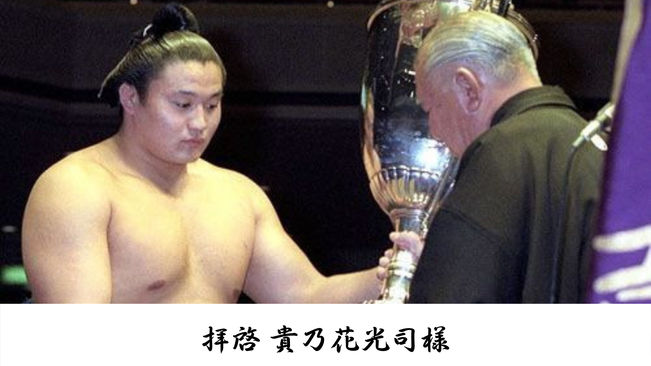 貴乃花親方退職に寄せて