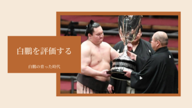 平戸出身の力士は平戸海」-平戸海新十両昇進漢境川もニンマリ