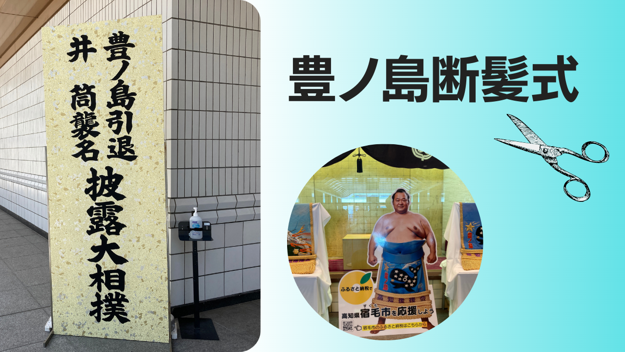 井筒親方 (豊ノ島関) 反物 端切れ 11m 相撲