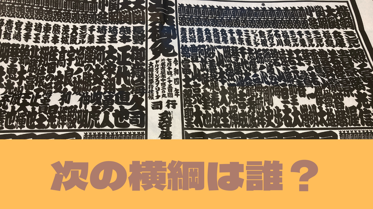 大相撲　番付表　令和5年9月場所　横綱　照ノ富士　両国国技館　2枚セット