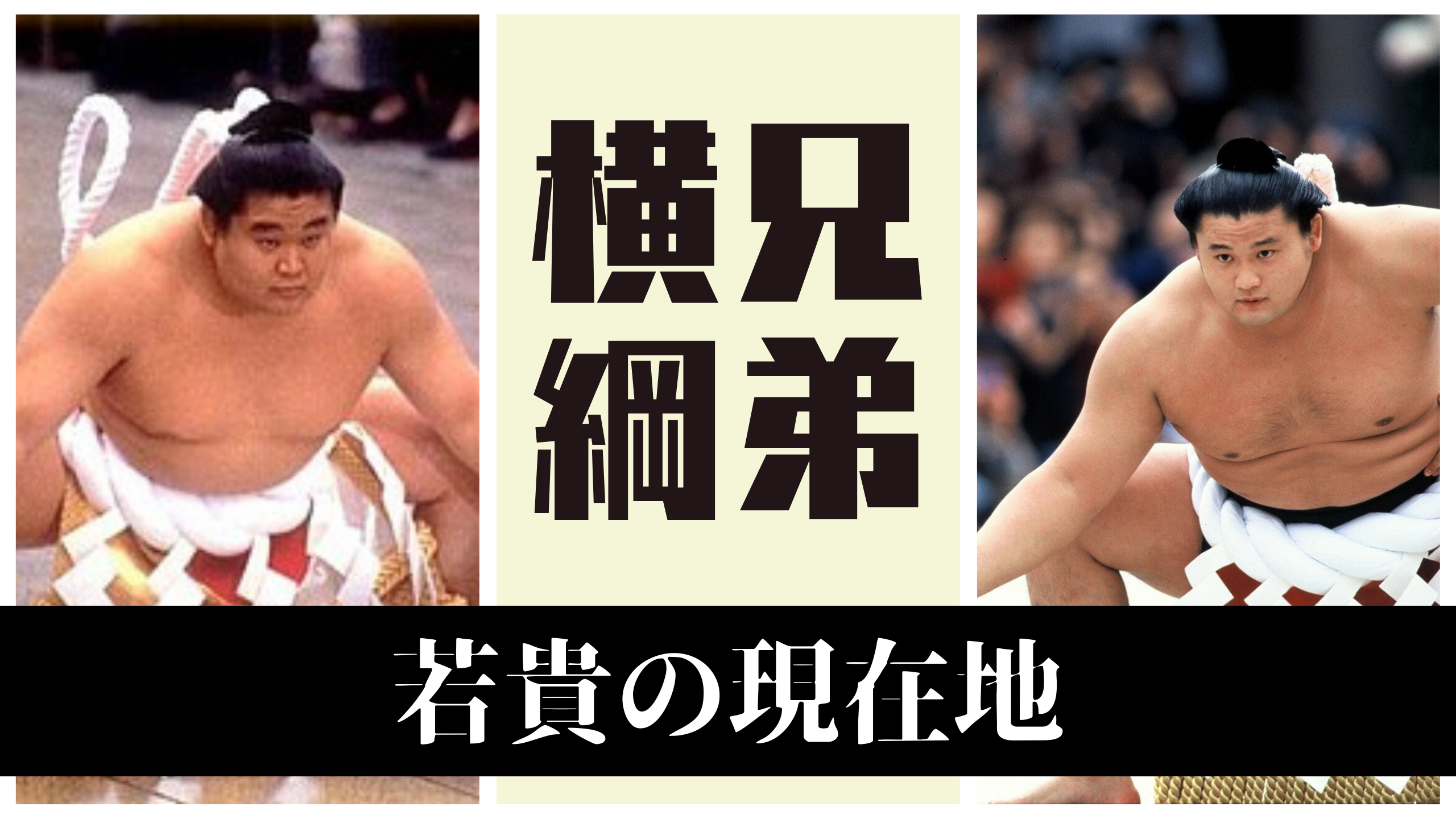 写ルンです 横綱貴乃花デザイン 貴乃花│横綱物語