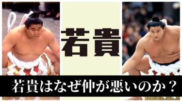 貴乃花と若乃花はなぜ仲が悪いのか？│横綱物語